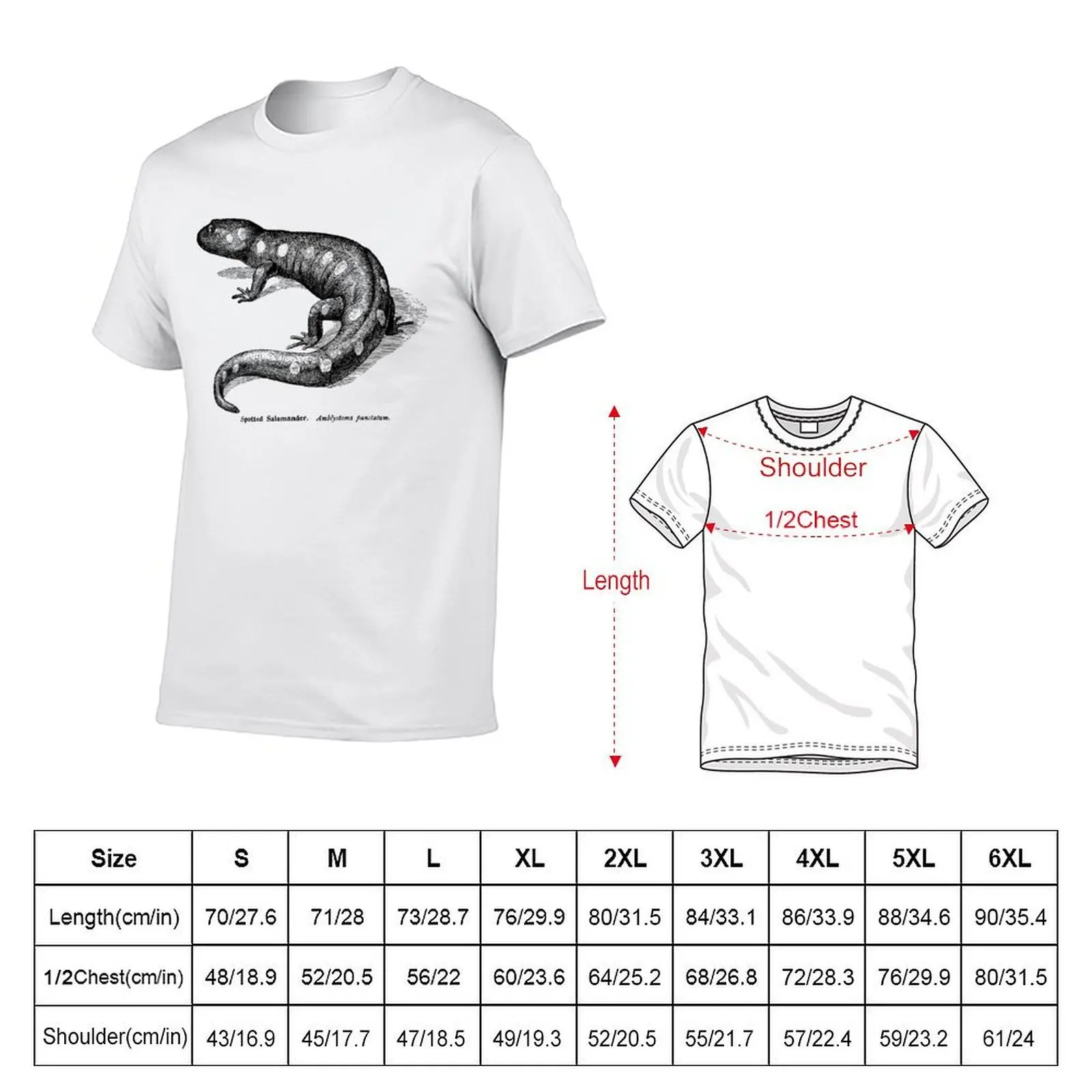 Spotted Salamader - Vintage Scientific Illustration T-Shirt Blouse gifts for boyfriend black t-shirts for men
