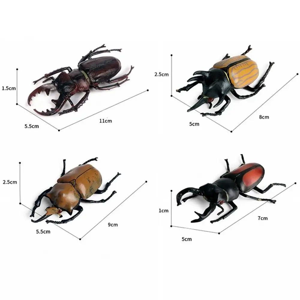 Realistische Insektentiere Modell Longhornedbee Wild Insektenkäfer Actionfiguren Wissenschaftliche Bildung Lebensechte Insektenfiguren