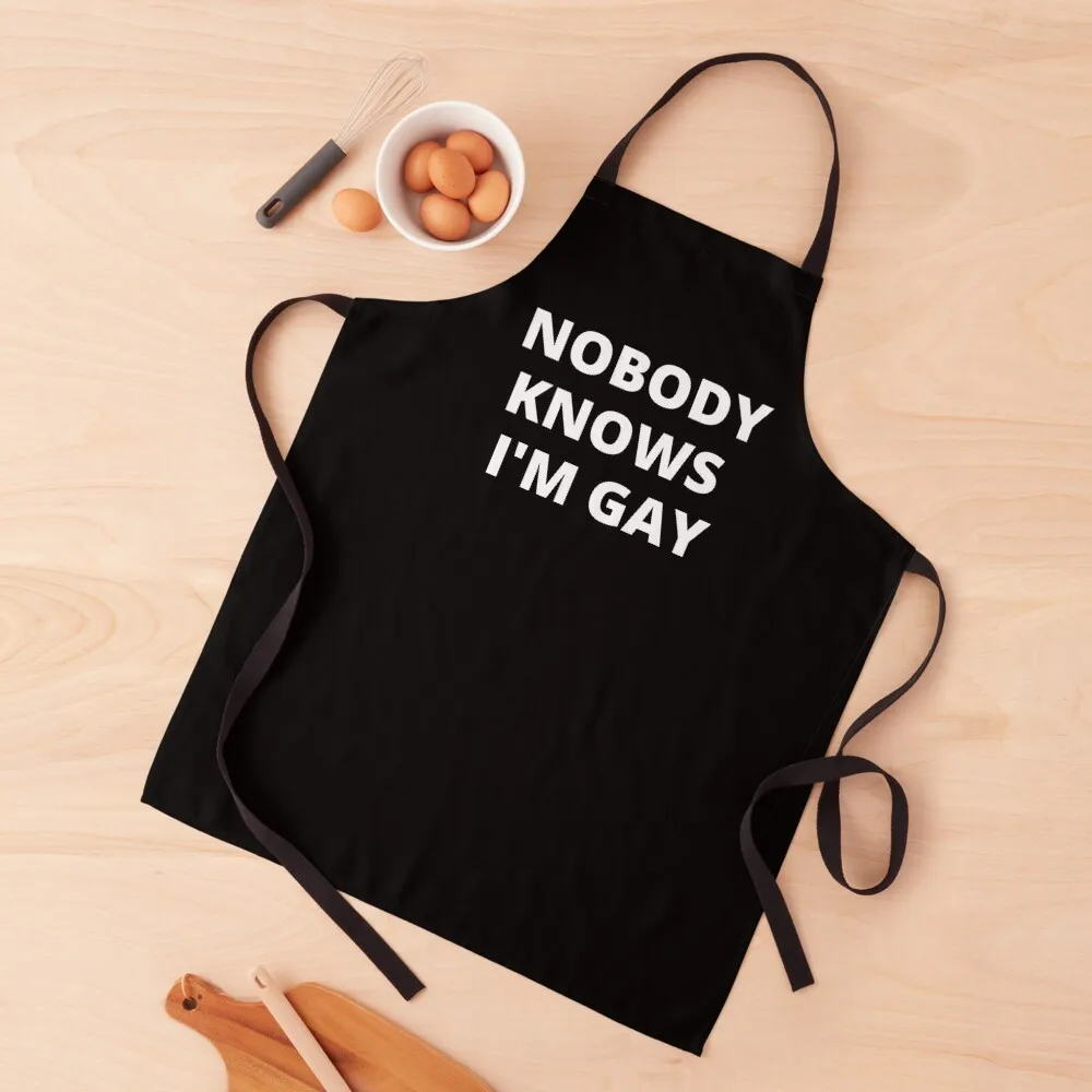 

Nobody Knows I'm Gay Apron Smock for hairdressing kitchen utensil For Home Accessories Men'ss Apron