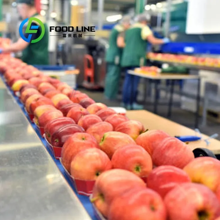 Cold Press Apple Juice Production Line Low Temperature Processing To Retain Original Fruit Flavor And Nutritional Ingredients
