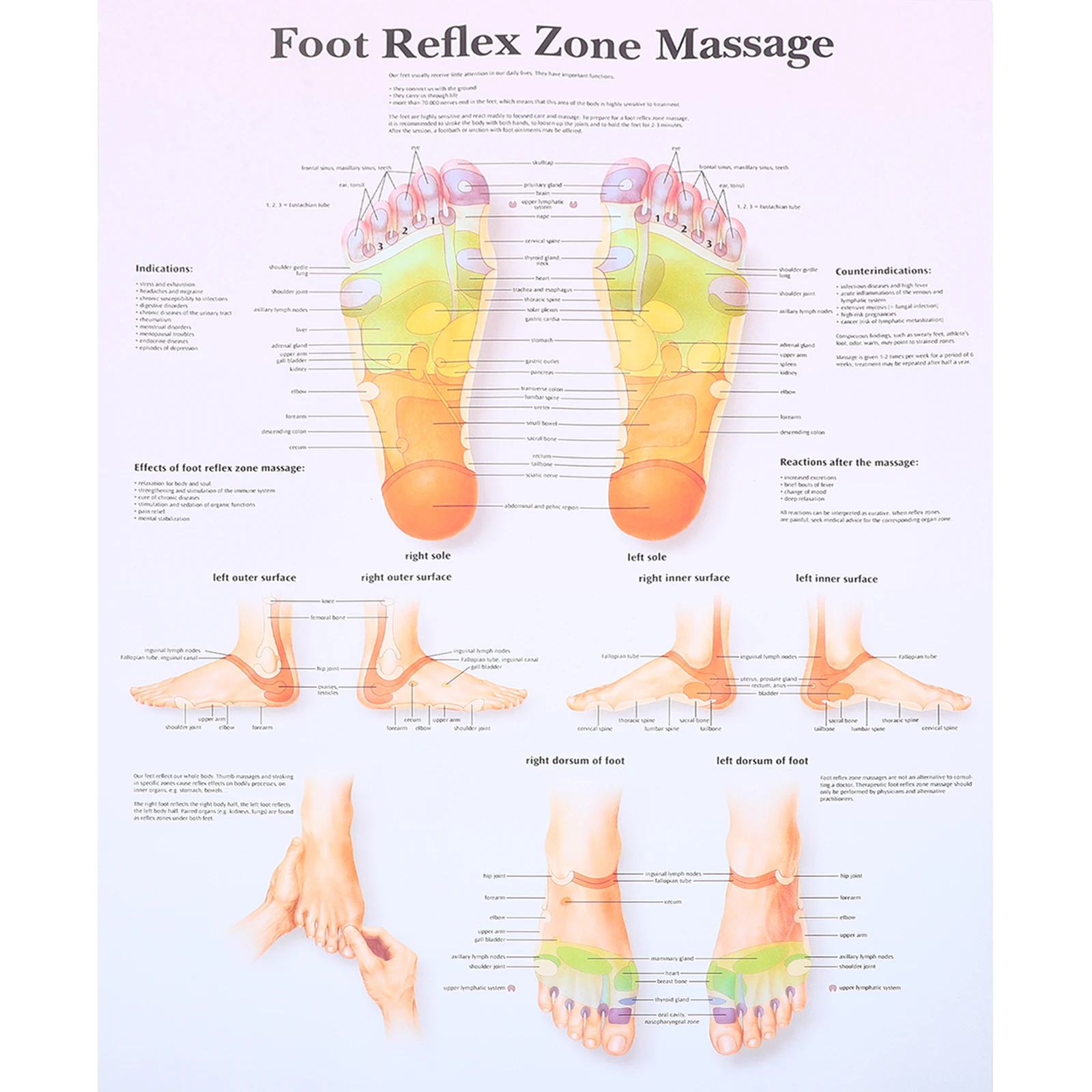 Foot Reflexology Chart Poster For Professionals Medical Teaching Tool Foot Massage Wall Art Office Home Decor 60X90Cm