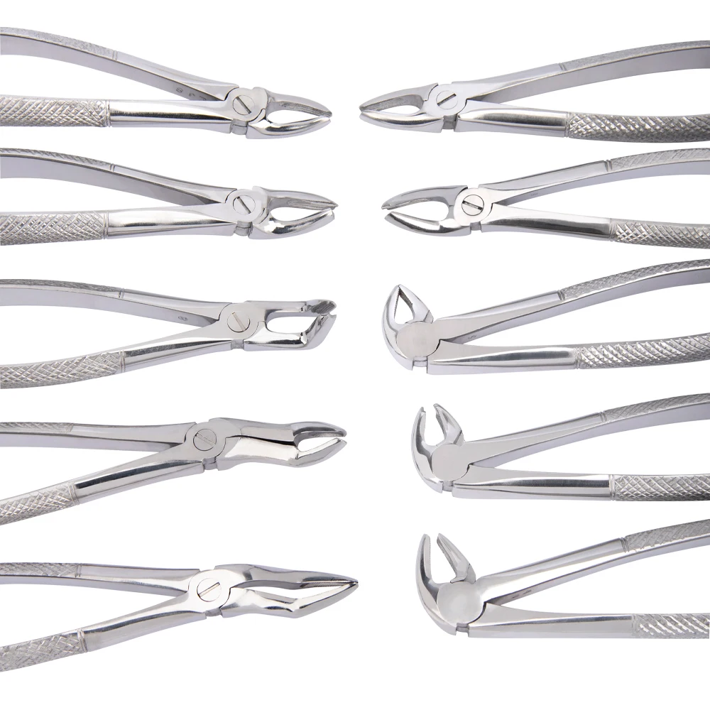 10-teiliges Set Zahnextraktionszangen mit Werkzeugset, Zahnärztliches Chirurgieinstrument für Kliniken, Zangen für Erwachsene/Kinder – Detail 4