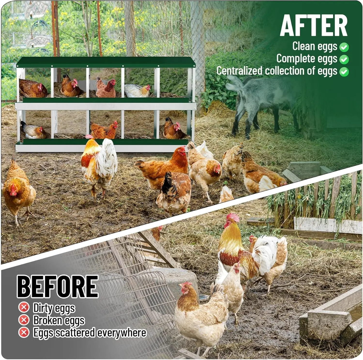 

10 Compartment Metal Chicken Nesting Box for Coop, Easy Egg Collection & Cleaning, Indoor & Outdoor Use, Customized