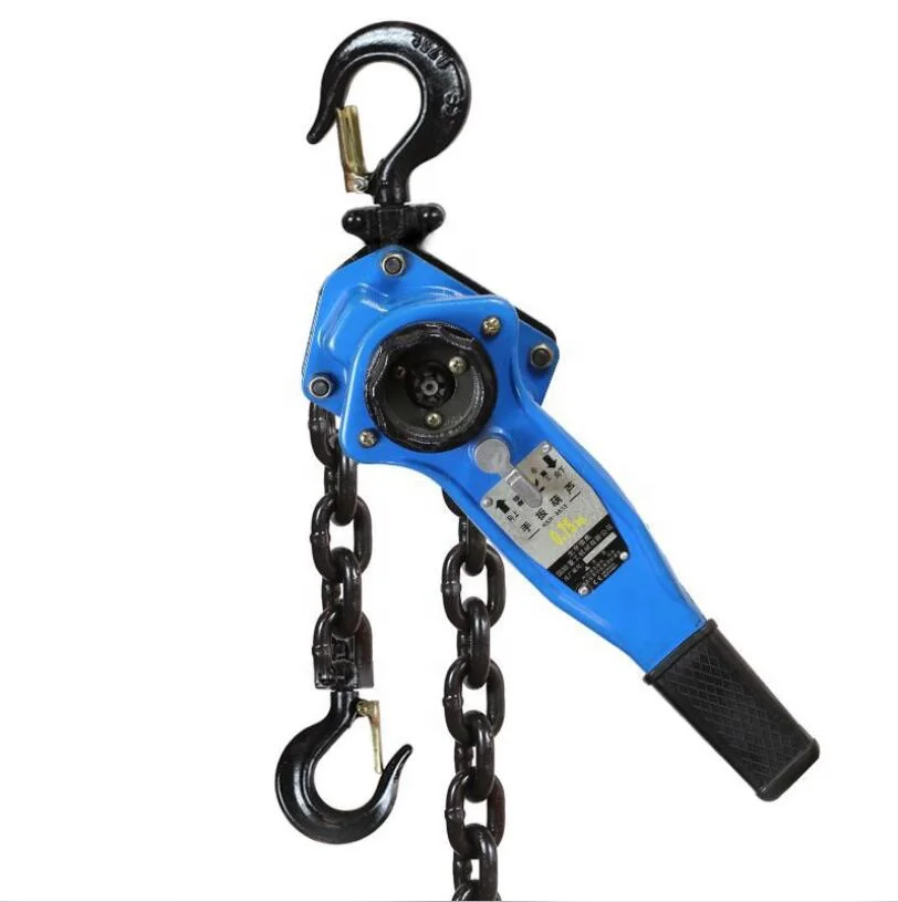 Wendy 3 Ton 6 Ton 9 Ton Hand Chain Hoists Chain Block Hoist Electric Chain Hoists for Sale
