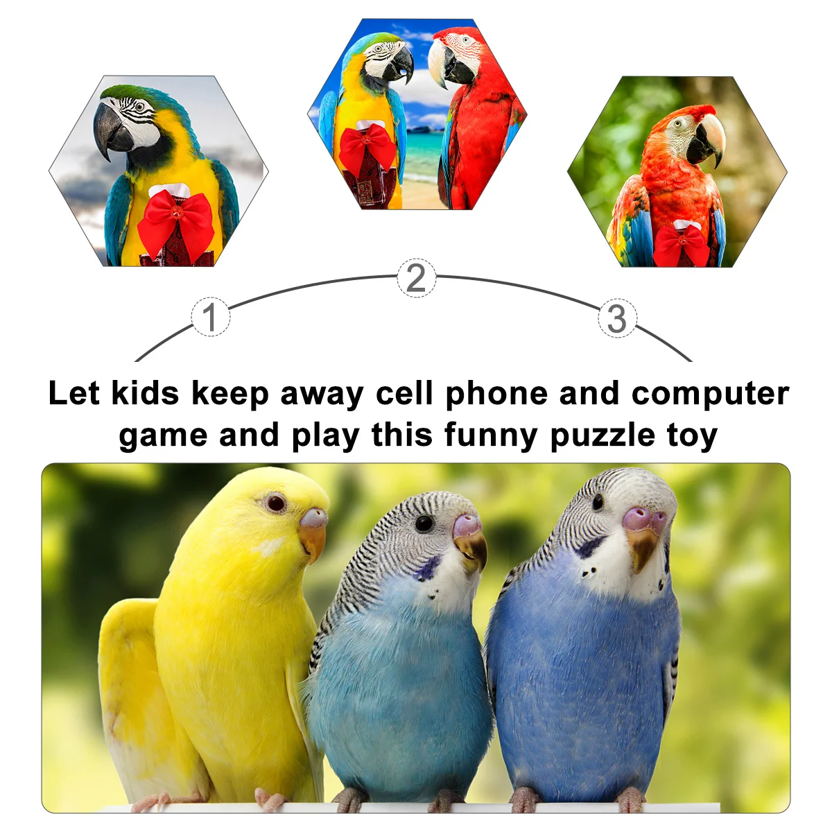 

Parrot Flight Suit Clothes Bird Supplies Pet Turn Page Pilot Clothing Cotton Pigeon