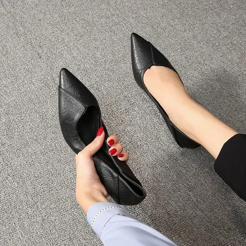 Women\'s Stiletto Heel 2024 Spring and Autumn New All-match Sexy Single Shoes Professional Work Shoes Black Small Leather Shoes