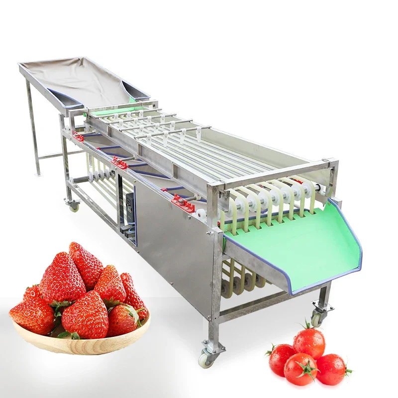 Automatic Fruit And Vegetable Size Sorting Grading Machine Potato Sorting Machine Fruit Dates Sorting Machine