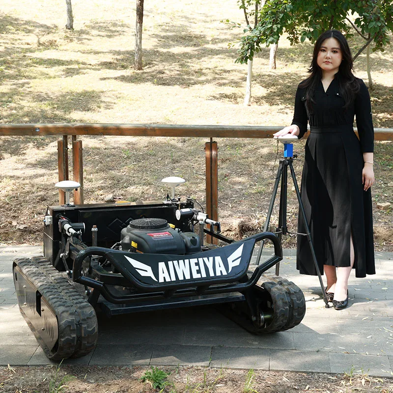 

Customized 4-Stroke Petrol Lawn Mower Self-Propelled Grass Cutter with Adjustable Height for Yard Farm Hillside Use