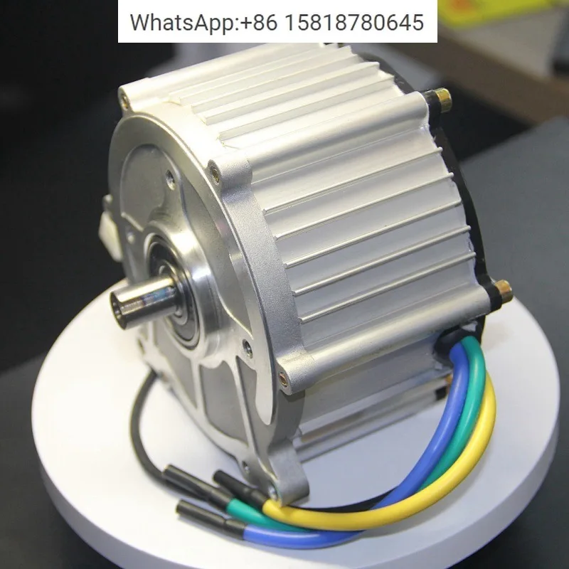 Hot selling 60V800W permanent magnet synchronous motor for children's electric motorcycles and various other purposes