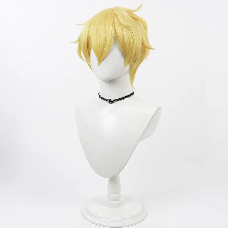 このパーティーには女の子がいない コーハク コスプレウィッグ ハロウィンギフト