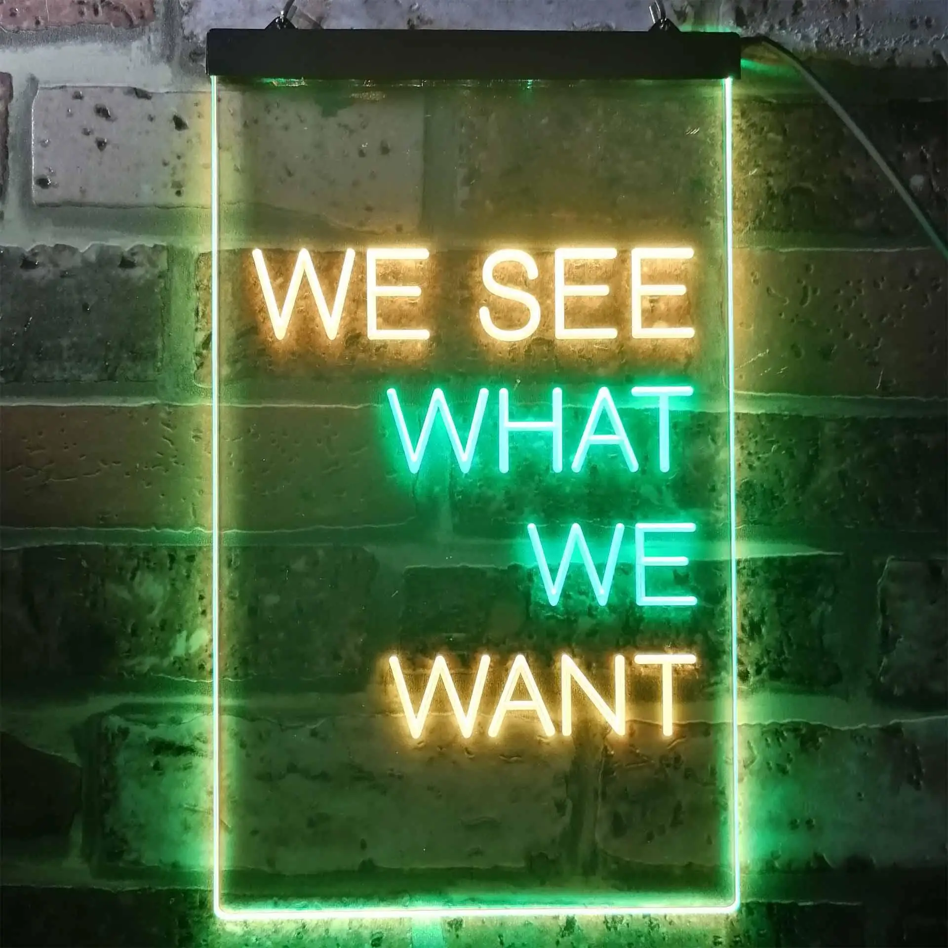 We See What We Want Dual Color Led Neon Sign st6-i3355