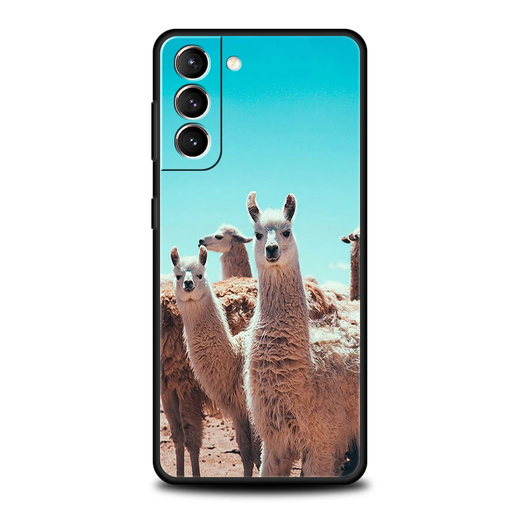 Lama Llama Alpacas Phone Case For Samsung Galaxy S24 S23 S22 S20 S21 FE Ultra S24 S23 S10 S10E S9 S8 Plus 5G Phone Cover Capas