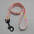 Leash B