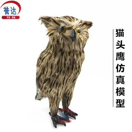 

Free shipping owl simulation model biological experimental equipment scientific specimen teaching instrument