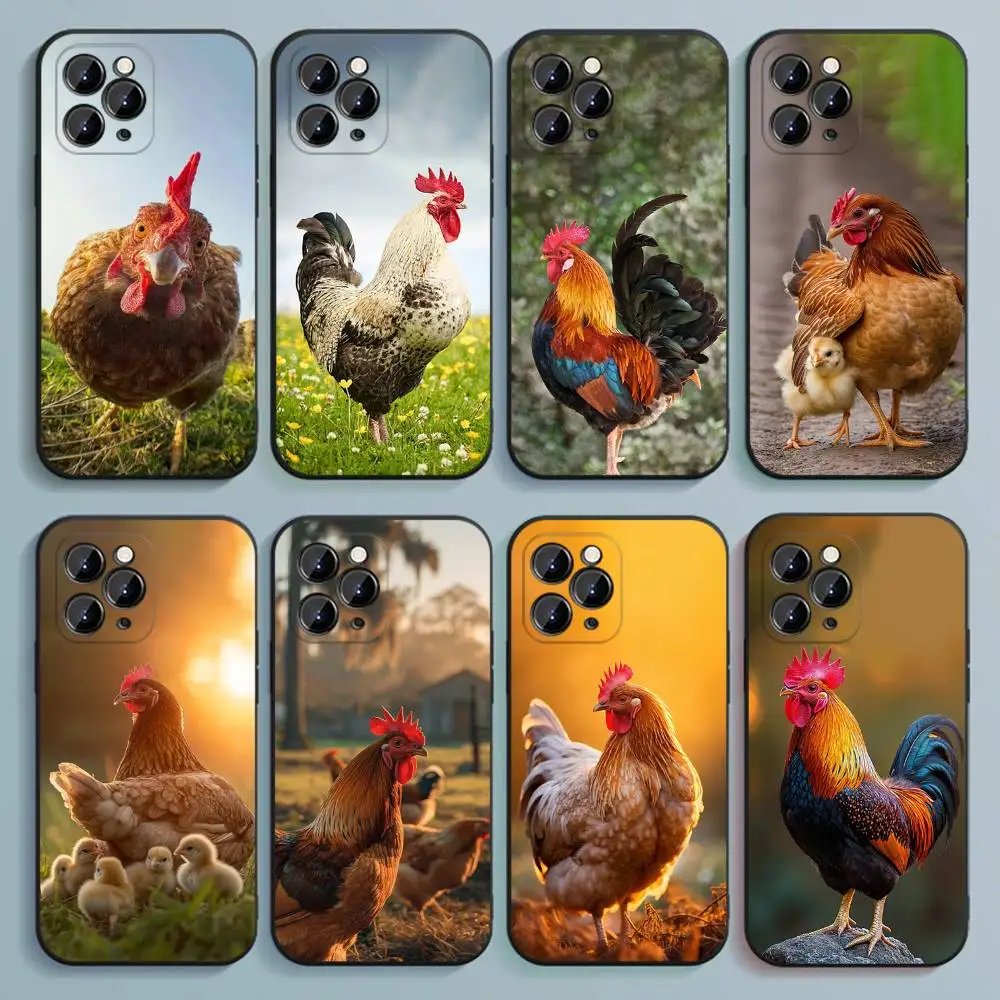 

Animal Hen Rooster Phone Case For iPhone 17,16,15,14,13,12,Pro,Max,Plus,E,SE4,Air,Mini Black Soft Cover