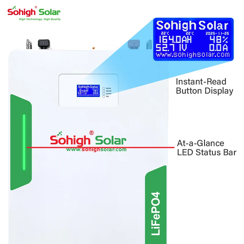 High Quality Grade Battery Cells Intelligent BMS Protection 314Ah 51.2V 16kWh LiFePO4 Lithium Batteries Wall-Mounted 12-24KW