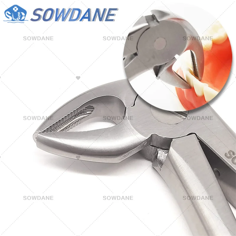 High Quality Dental Adult Tooth Extraction Plier Forcep Teeth Extraction Plier Forcep Dental Surgical Tool Instrument