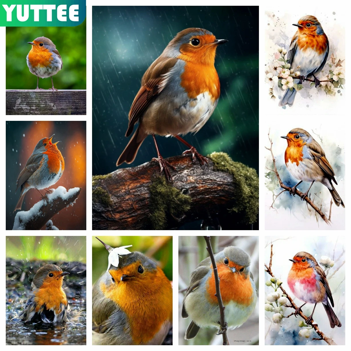 

Robin Bird 5D DIY Diamond Painting Embroidery Cross Stitch Cute Animal Art Mosaic Picture Handicraft Hobby Home Decor Gift