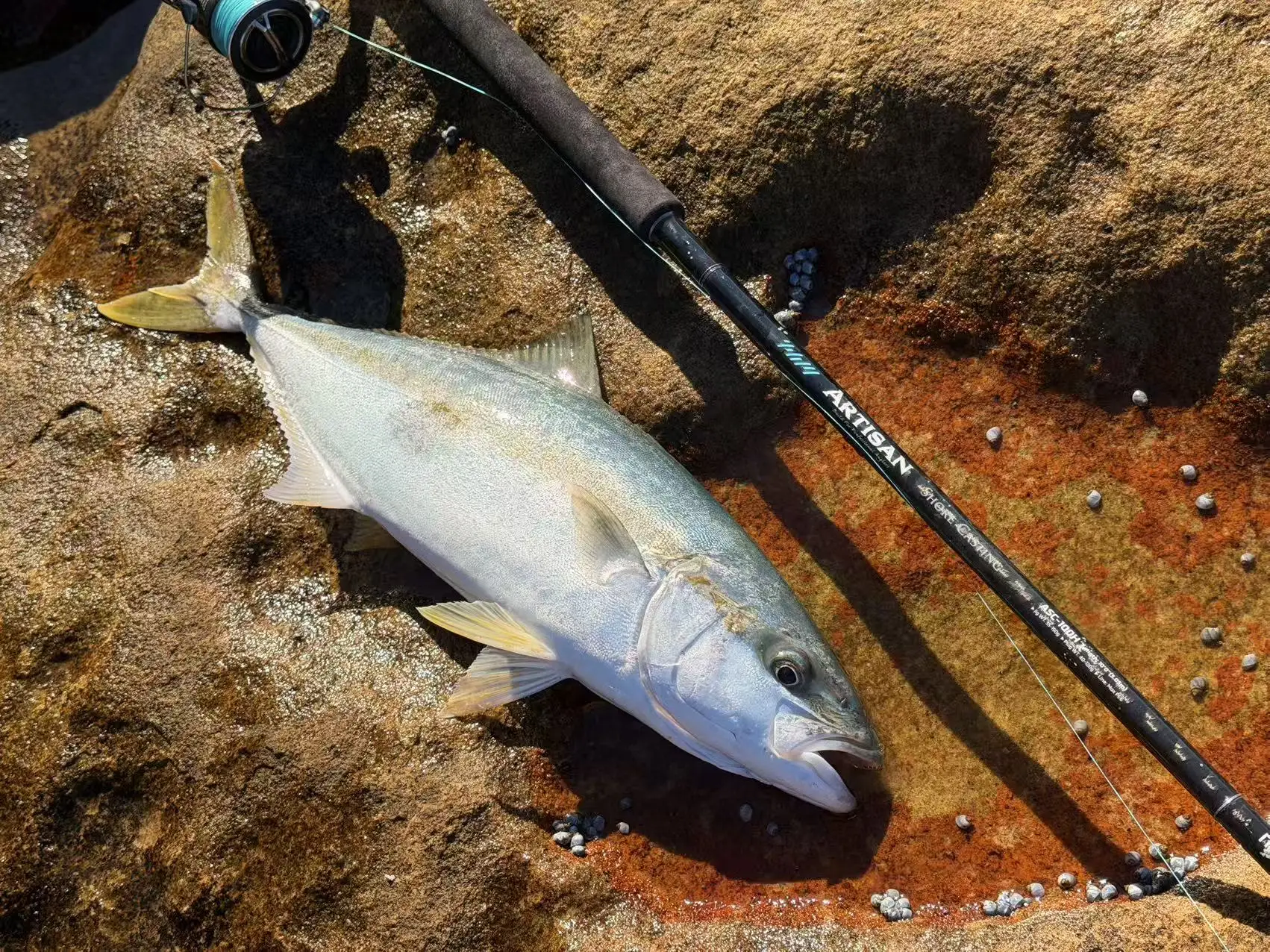 NOEBY Artisan Shore Casting Angelrute 2,87m 3,05m Max. Bremskraft 22kg Fuji Teile 2 Abschnitte H XH XH+ für Großfische GT Thunfisch Angelrute – Detail 3