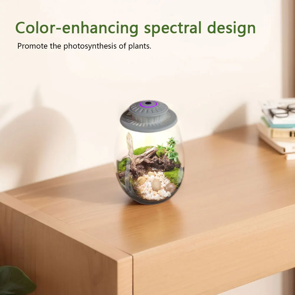 

Micro Landscape Plant Growth Lamp 6500K Desktop Miniature Plant Light Plant Grow Light for Indoor Plants Succulents Mini Bonsai