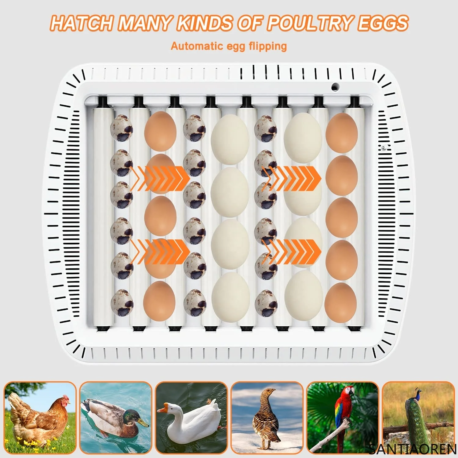 

35 Incubators for Hatching Eggs Poultry Hatcher Machine with Automatic Egg Turning Temperature & Humidity Control for Chickens