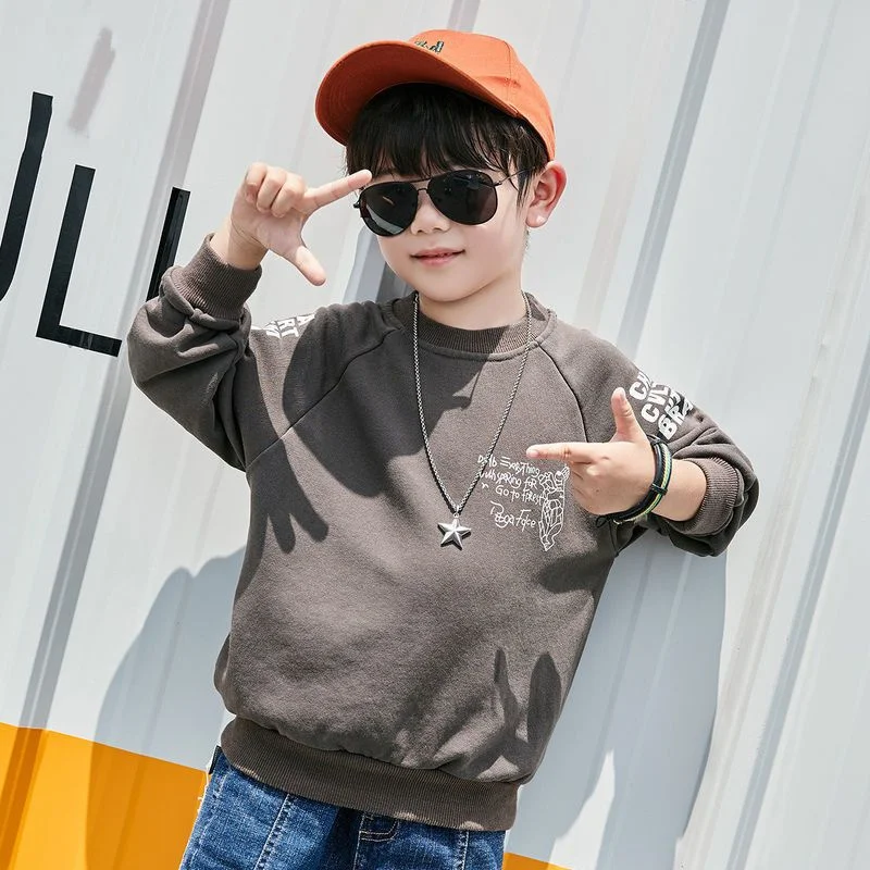 Boys Hoodies Sweatshirts Cotton Tops Outwear 2024 Pink Spring Autumn Kids Sport Teenagers Children's Clothing