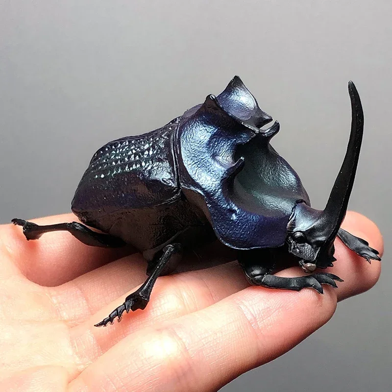 SO-TA Gashapon Capsule Toys Insect Creature Kawaii 1/1 Dung Beetle Scarab Model Ornaments Cute Action Figure Gift