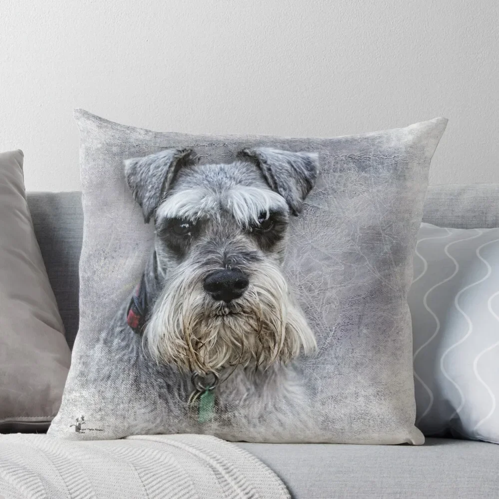 

Serious Schnauzer Throw Pillow Cushions For Sofa Anime