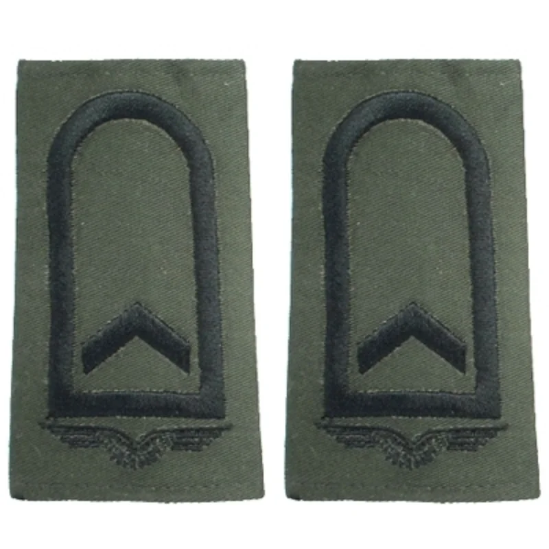 The Rank Insignia of Commissioned Officers German Air Force Luftwaffe Badge