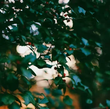 

Многофункциональный прибор для ухода за кожей головы, нано-спрей для волос, аппарат для терапии волос, нано-распылитель для парикмахерских