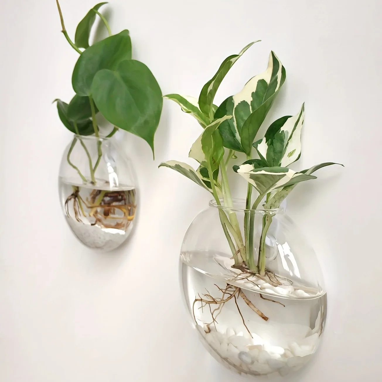 2PCS Wall Hanging Glass Terrarium - Self-Watering Hydroponic Planter for Home Office Decor, Handmade Round Crystal Vase