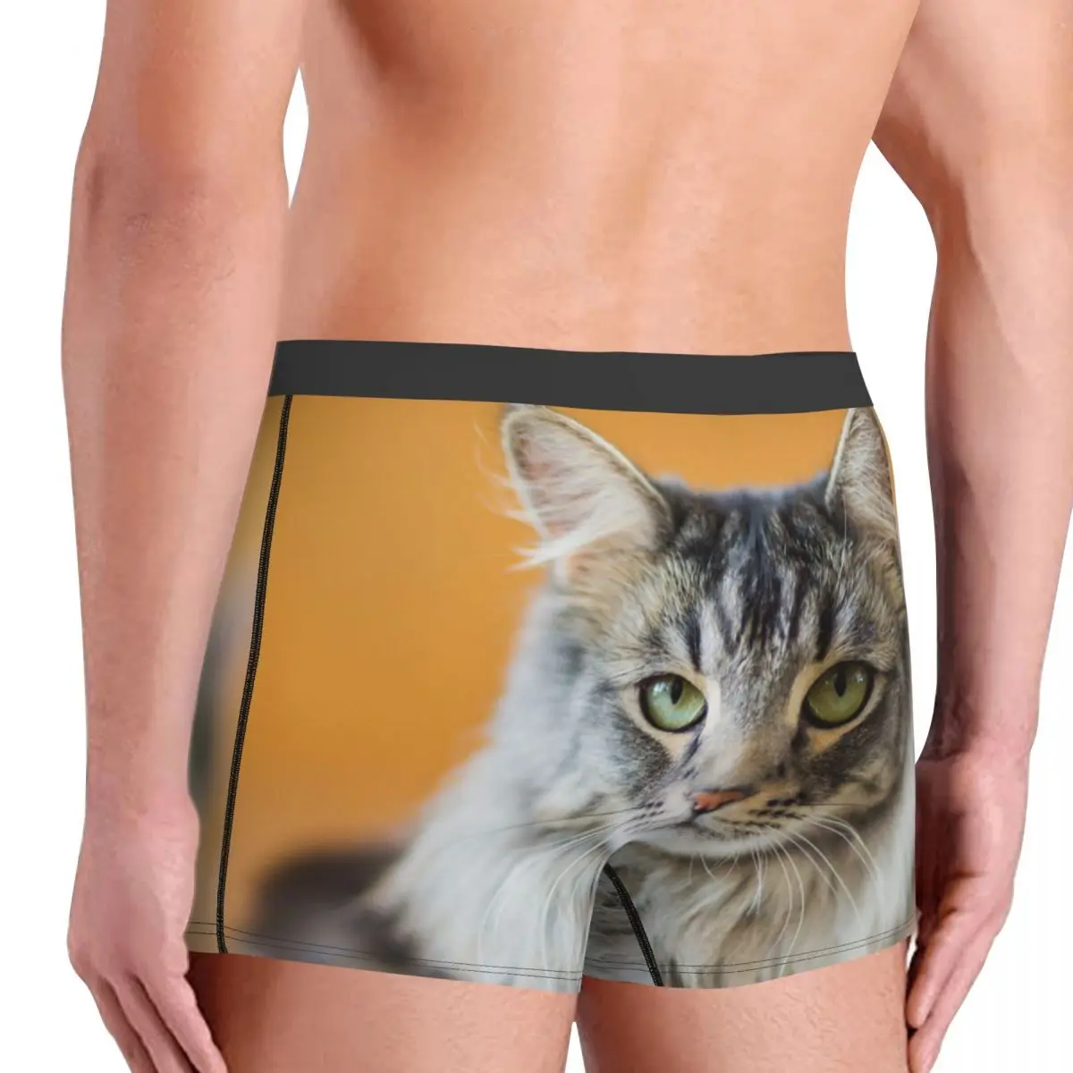 Calzoncillos Bóxer con estampado de gato grande para hombre, ropa interior muy transpirable, pantalones cortos de alta calidad, Idea de regalo