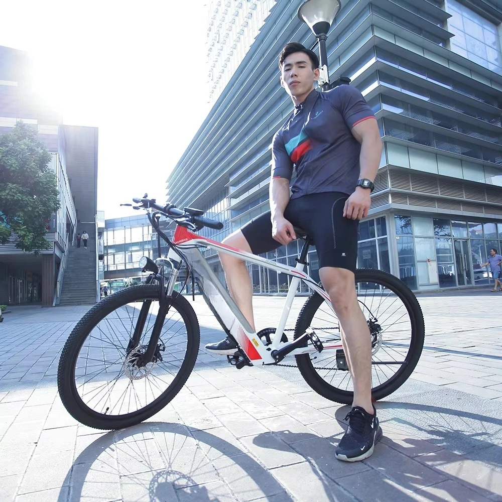 FCC CE Certificated SAMEBIKE 26 Inch Double Disc Brake 350w 36V Long Range Mountain Road Electric Bike