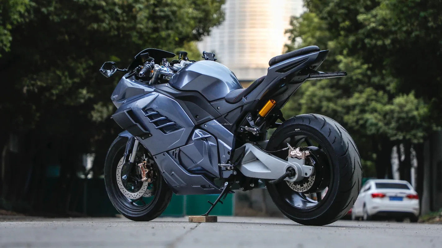STLF Electric Motorcycle Street Legal  Approved Motorcycle 150km/h Off-road Vehicle for Adult