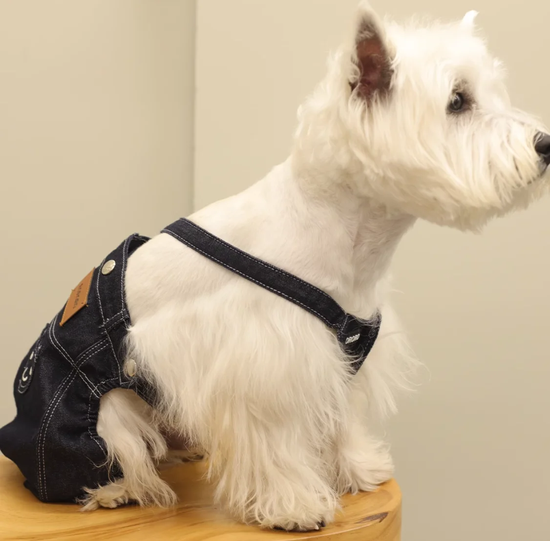 

Newly Designed Pet Harness Pants Cotton Comfortable Dog Jeans