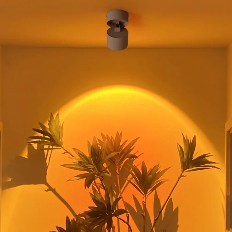 

Лампа на закате, прожекторы, универсальная лампа дневного освещения, настенная стирка, регулируемые углы, подходит для дома, гостиной, входных места, стены