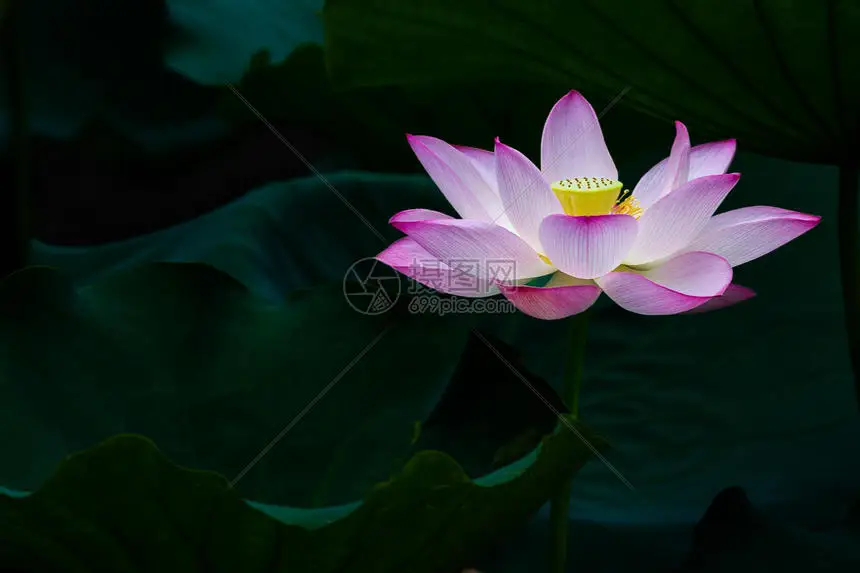 

Комплект из 4 шин с 17-мм шестигранным креплением для ARRMA 1/7 Firebird, FELONY, FSR, Flying God, Mustang GT, Flat Running Da, DA GT, для гонок по шоссе