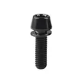 M5x16 Black