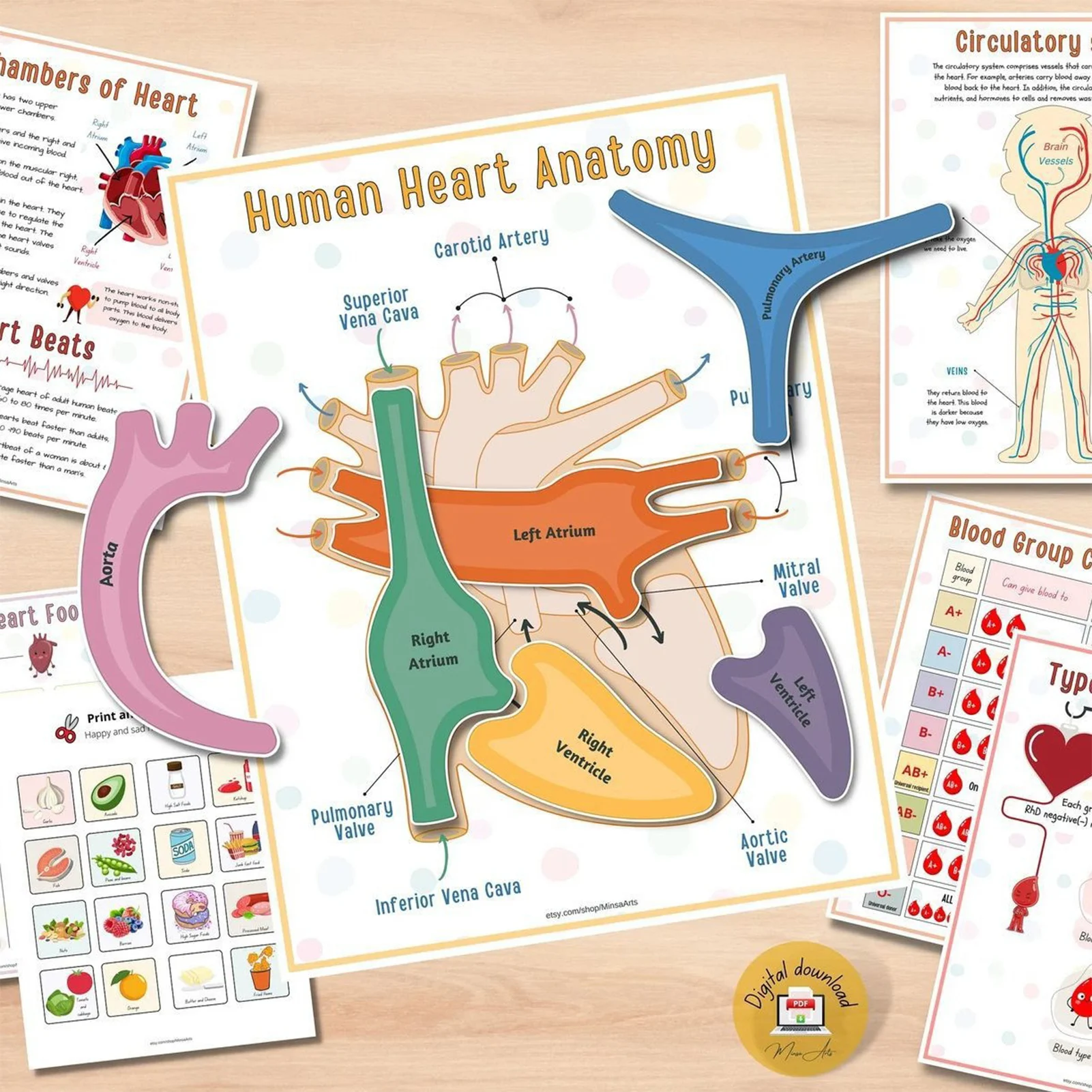 Classic Human Body Activity Book Better Know How Human Body Work dicine Physiology Knowledge Lover