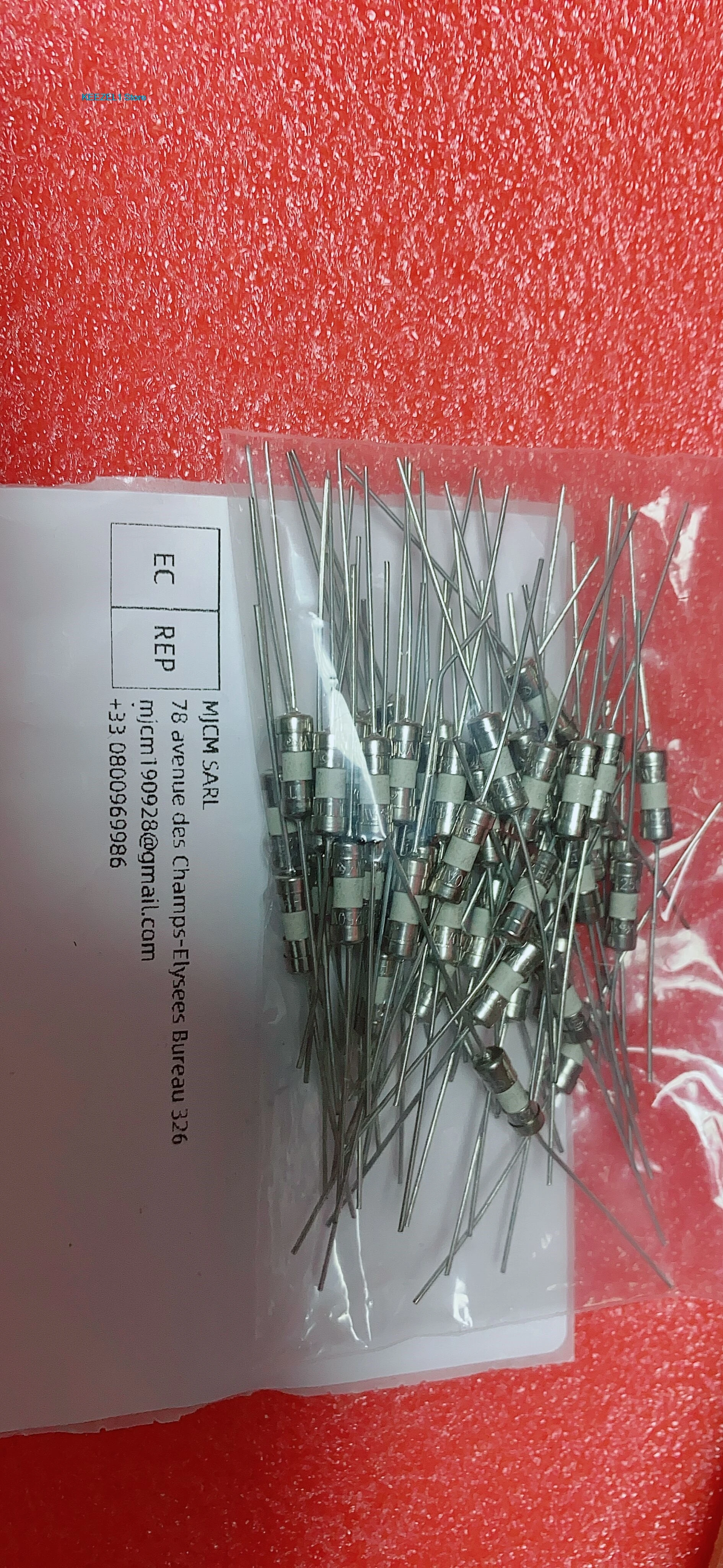 LF10A 250V T10A 3.6X10mm 3*10mm imported ceramic fuse with lead wire  50PCS -1lot