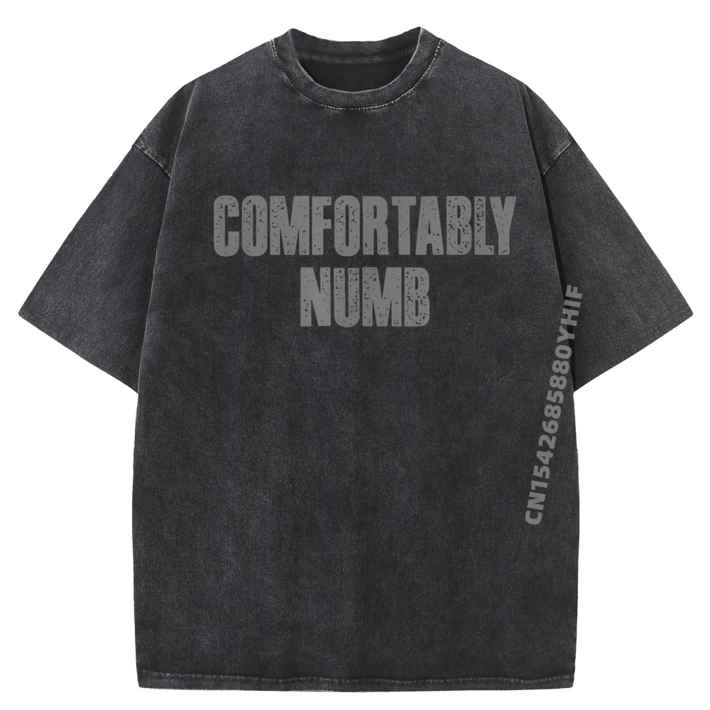 

Comfortably Numb Detached Indifferent Melancholic Numb Calm White Graphic Tee Natural Printed Washed T-Shirt Party