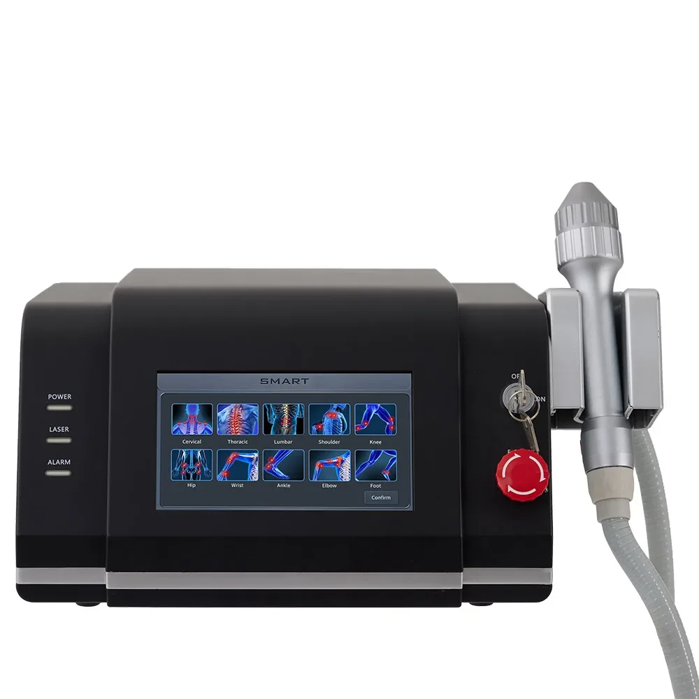 Rheinlaser 20w 30w 980nm Laser Therapy Machine Physiotherapy Medical Device For Veterinary Cure