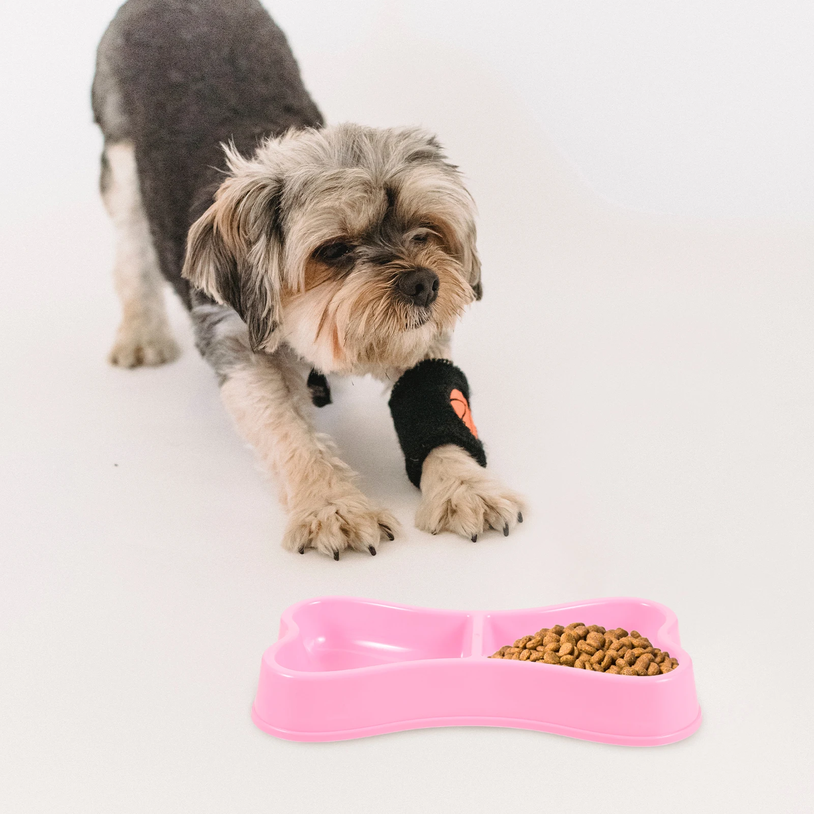 

Bone Shaped Pet Bowls for Cats Dogs Color Double Mouth Feeder Easy Clean Portable Dog Food Water Container Plastic