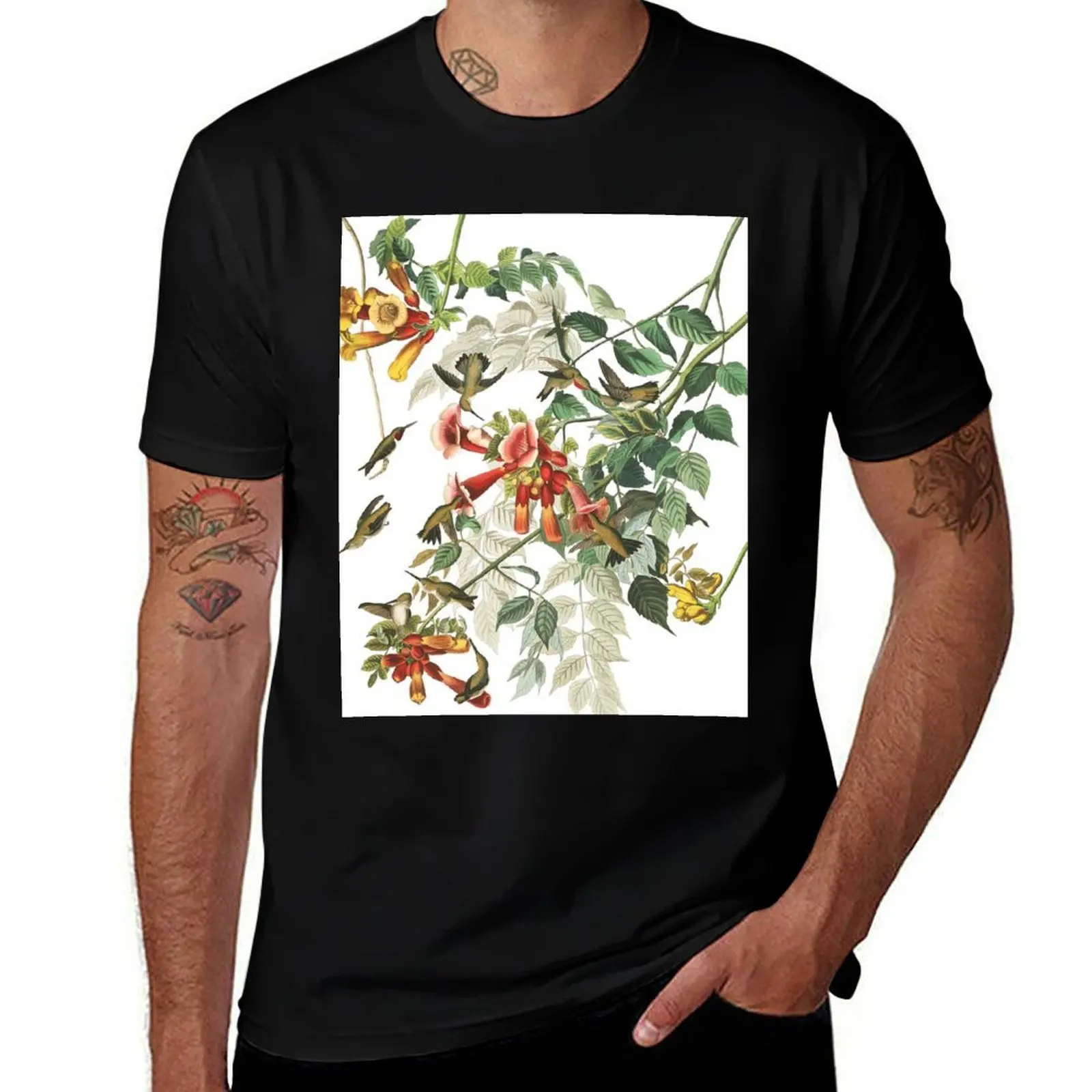 

Ruby-throated Hummingbird - John James Audubon T-Shirt anime t shirts shirts graphic fruit of the loom mens t shirts