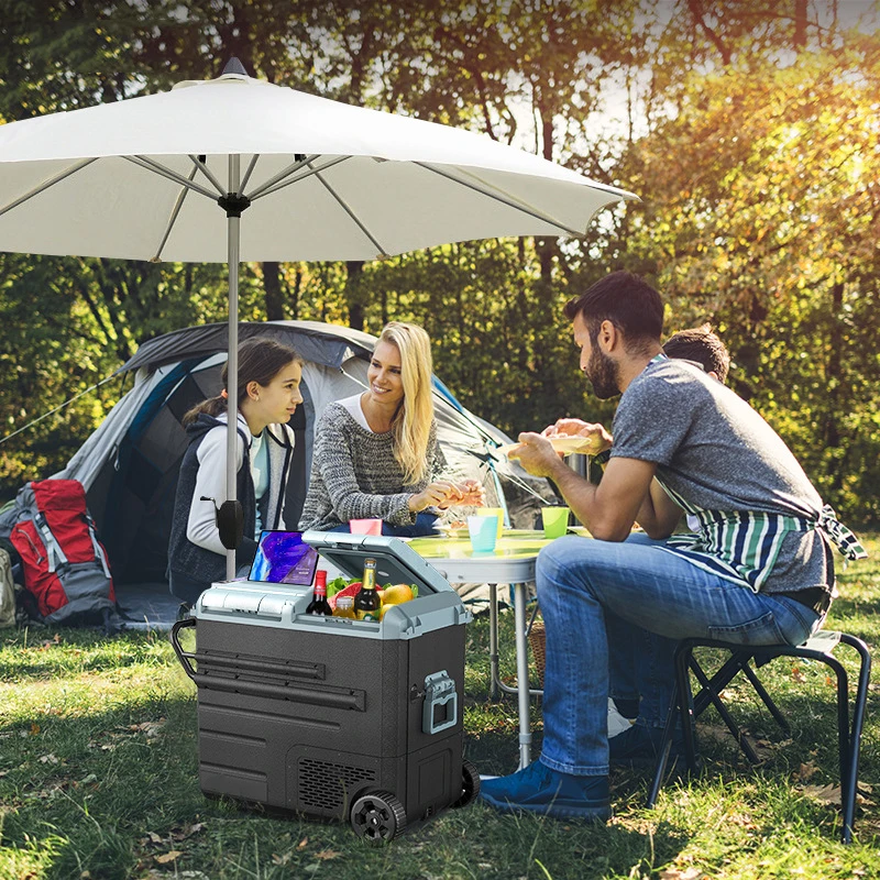 Refrigerador para acampar al aire libre, compresor de uso General, nevera para el hogar y el coche, AC100-240V DC12/24V, almacenamiento portátil, viaje, Control Dual