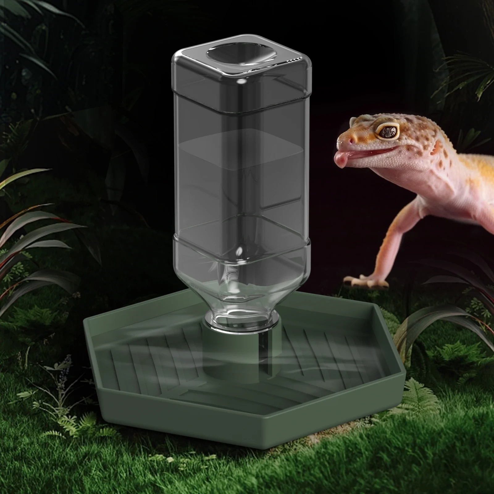#8 Compare Reptile Water Bowls Before You Buy