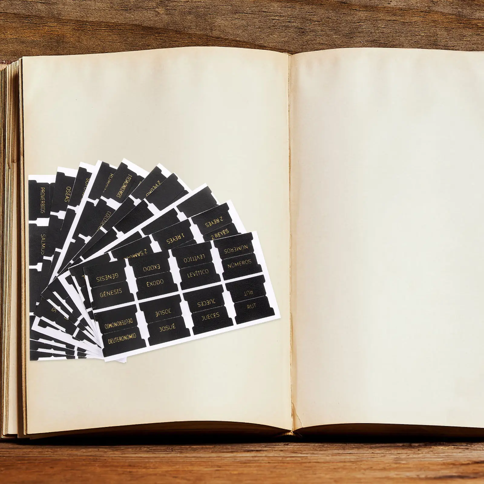 

80Pcs Bible Index Tabs Blank Book Tabs for Study Bible DIY Craft PU Marker Labels for Men Women Comprehensive Coverage