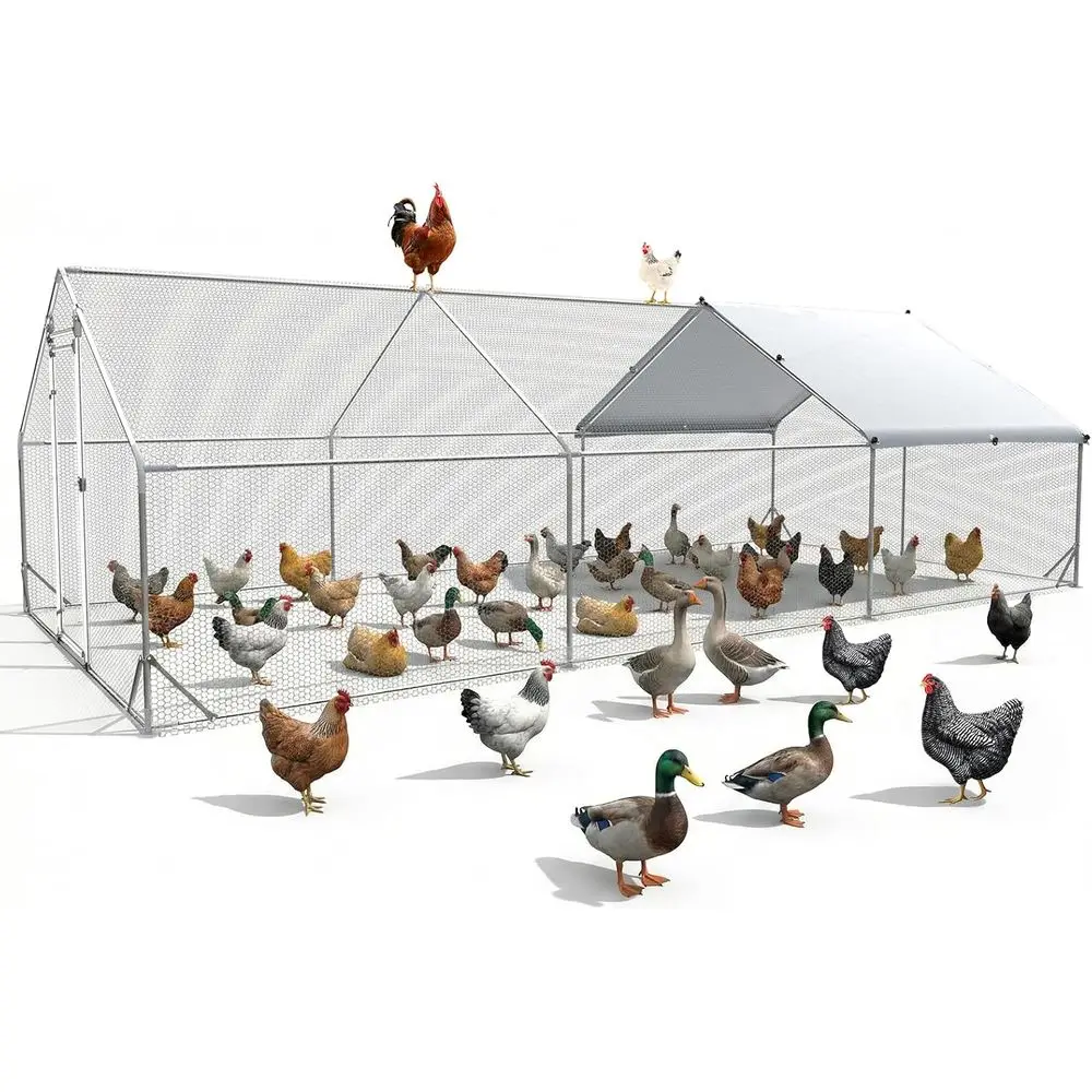 

Large Chicken Coop Metal s or Yard 20x10x6.5 t Chicken Coop with Cover Gallinero para Gallinas Heavy Duty Chicken Cage Rabbit Du