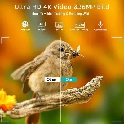 HC-900Pro 4K Video + 36MP Photos 4G Hunting Camera with APP Remote Phone Control To View Mobile Wireless Wildlife  At Any Time