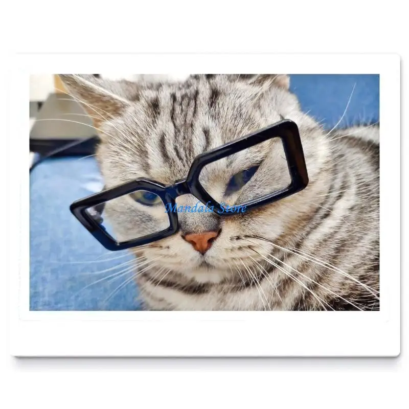 

U2JC Sunglasses Cats Sunglasses Cats Glasses Rectangle Shaped Goggles Pet Wear